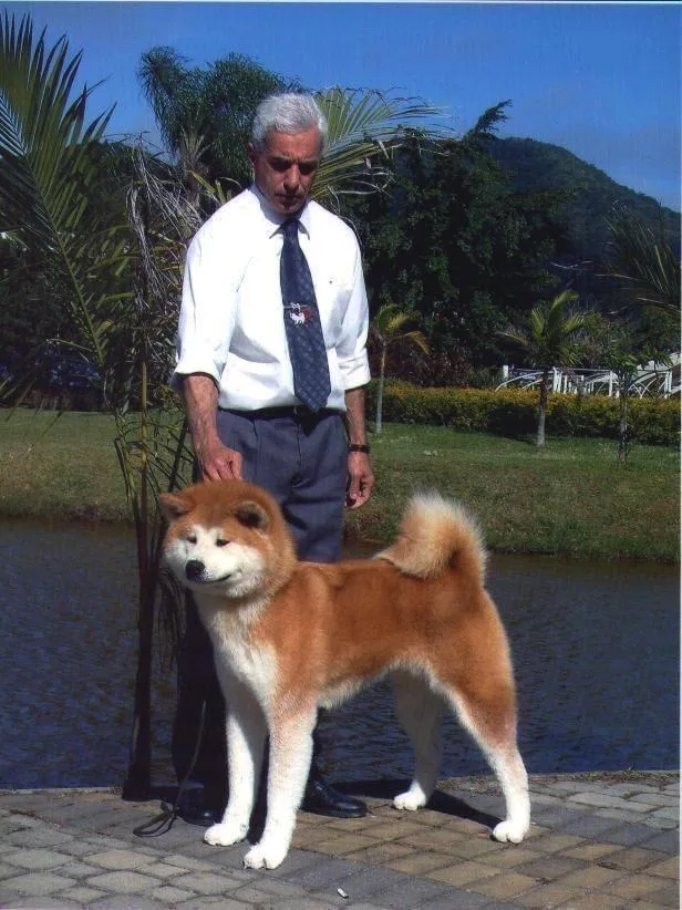 Akita e o criador em momento de lazer junto ao lago