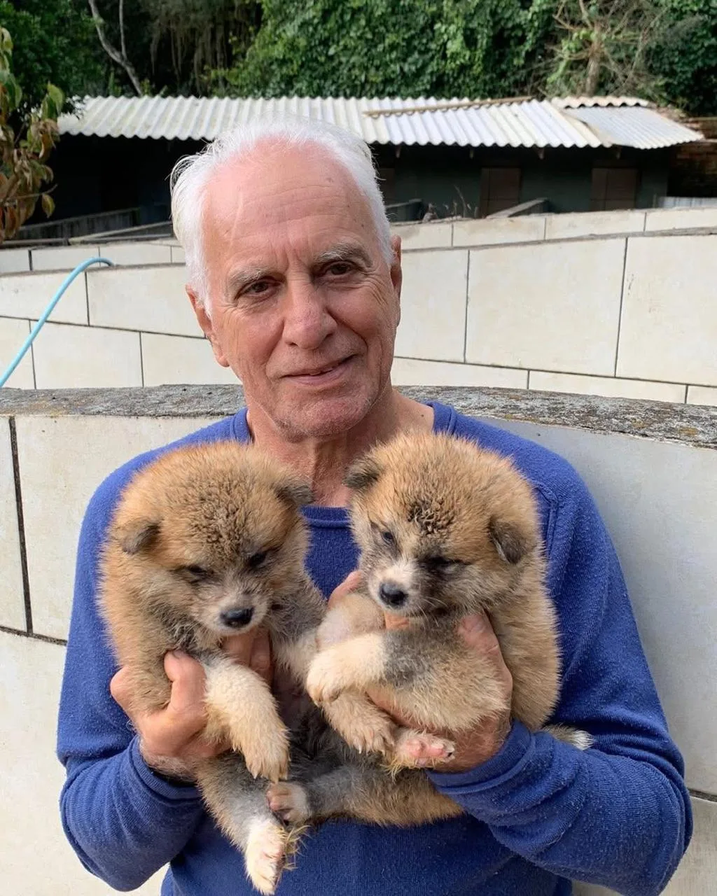 Criador com filhotes de Akita junto ao canil